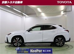 UX250h Fスポエモ Exp