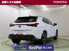 UX250h Fスポエモ Exp