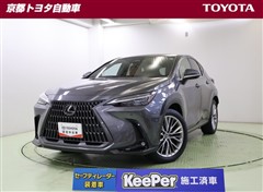 レクサス NX450h+ バ-ジョンL