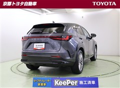 NX450h+ バ-ジョンL