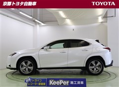UX250h グレイスフル Exp