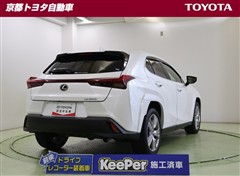 UX250h グレイスフル Exp