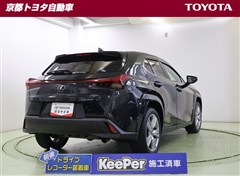 UX250h グレイスフル Exp