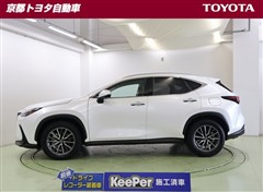 NX350h ヒョウジュンシャ