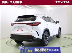 NX350h ヒョウジュンシャ