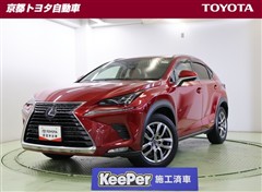 NX300h バージョンL