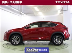 NX300h バージョンL