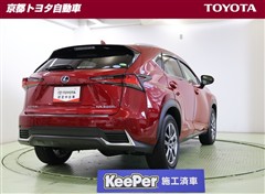NX300h バージョンL