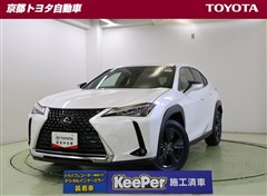 UX200 バージョンC