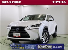 NX300h バージョンL