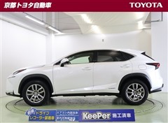 NX300h バージョンL