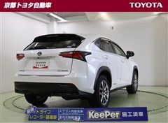 NX300h バージョンL