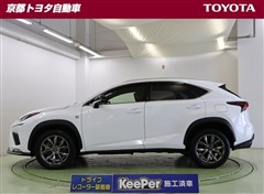 NX300 Fスポーツ
