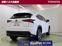 NX300 Fスポーツ