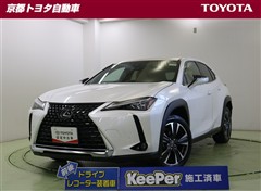 UX250h バージョンL