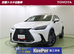 NX450h+ バージョンL