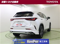 NX450h+ バージョンL