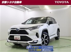 RAV4 PHV ブラックトーン