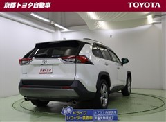 RAV4 G