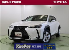 UX250h バージョンC