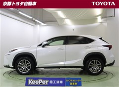 NX200t Iパッケージ