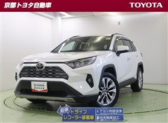 ＲＡＶ４