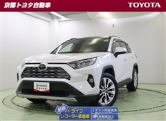 RAV4 G Zパッケージ