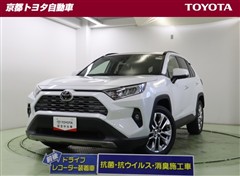 RAV4 G Zパッケージ