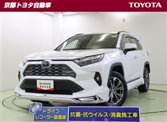 RAV4 ハイブリッドG