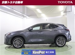 NX450h + バージョンL