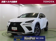 NX300h Fスポーツ