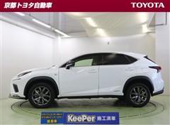 NX300h Fスポーツ