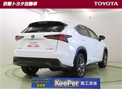 NX300h Fスポーツ