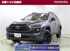 トヨタ RAV4 HV ADV オフロード2