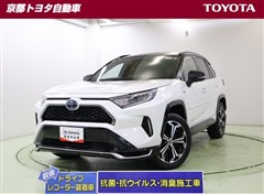 トヨタ RAV4 PHV ブラックトーン