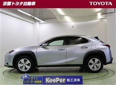 UX250h バージョンC