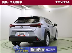UX250h バージョンC