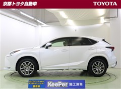 NX200t Iパッケージ