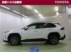RAV4 G