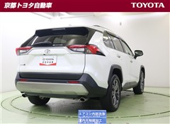 RAV4 G
