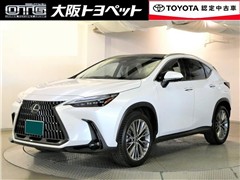 NX250 バージョンL