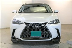 NX250 バージョンL