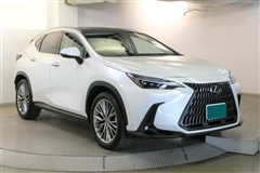 NX250 バージョンL