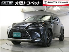 NX300h バージョンL