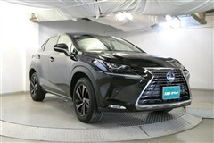 NX300h バージョンL