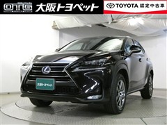 NX300h Iパッケージ