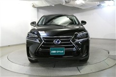 NX300h Iパッケージ