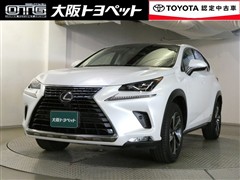 NX300h バージョンL