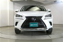 NX300h バージョンL