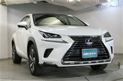 NX300h バージョンL